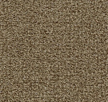 Грязезащитные покрытия Forbo Coral Classic 4774 khaki фото 1 | FLOORDEALER